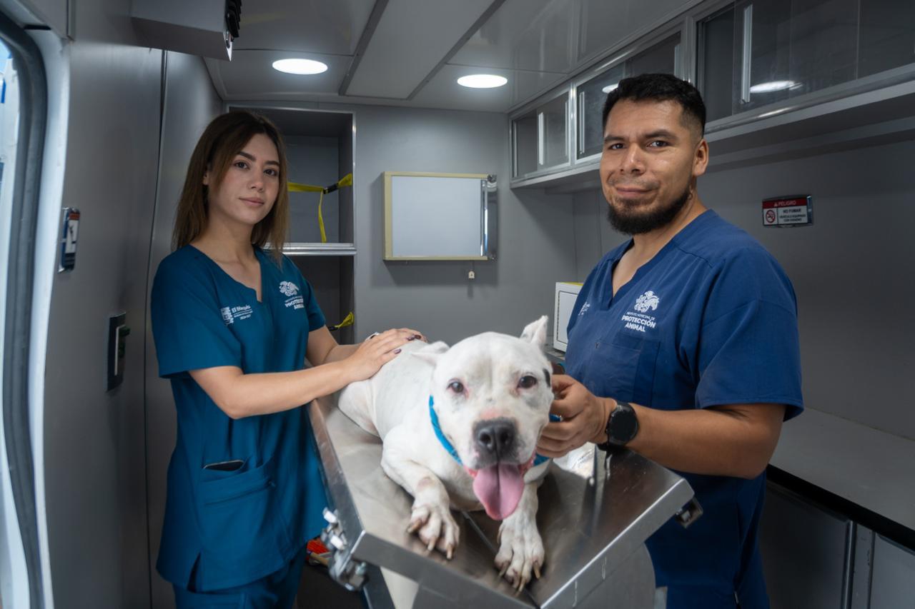 El Marqués fortalece el bienestar animal y se consolida como referente estatal en servicios veterinarios gratuitos