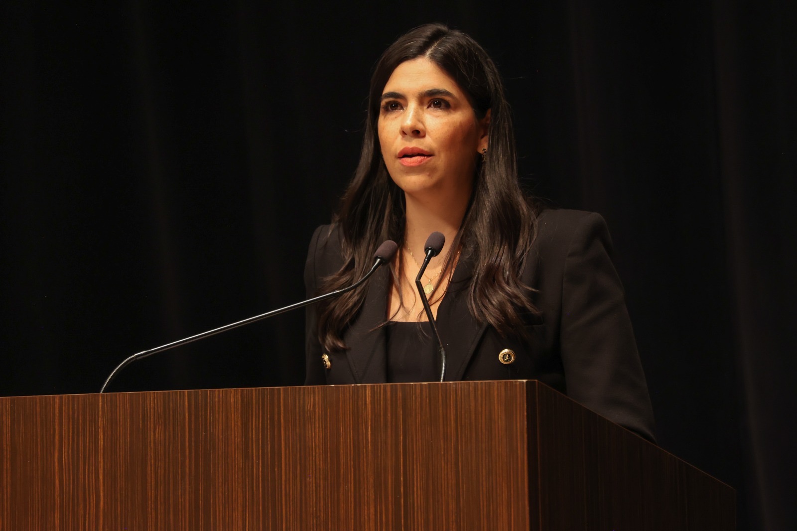 Intervención de la diputada Juliana Rosario Hernández Quintanar, en representación del Grupo Legislativo del PAN, con motivo del Segundo Informe de la LXI Legislatura del Estado de Querétaro